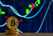 Top-Krypto-Assets zeigen Anzeichen einer langsamen Erholung