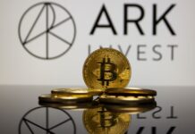 Ark Invest’s Wood Turned $100,000 Investment in Bitcoin to $7M