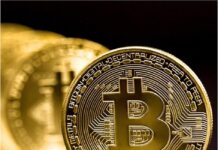 Coin Münze 4 cm | Geschenk | Wallet | Krypto | Etherium | Dogecoin | Litcoin | Scherzartikel | goldfarben | Münze mit Hülle