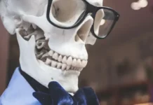 Memeinator im Fokus: Die meisten Meme-Coins entwickeln sich besser als Bitcoin 2024