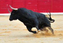 Bitcoin steigt auf über 65.000 $ und beschert 90 % der Inhaber einen Gewinn