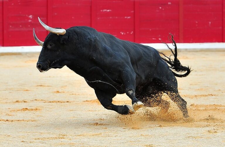 Bitcoin steigt auf über 65.000 $ und beschert 90 % der Inhaber einen Gewinn