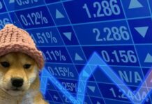 WIF, PEPE und SEI glänzen, während Kryptowährungen boomen