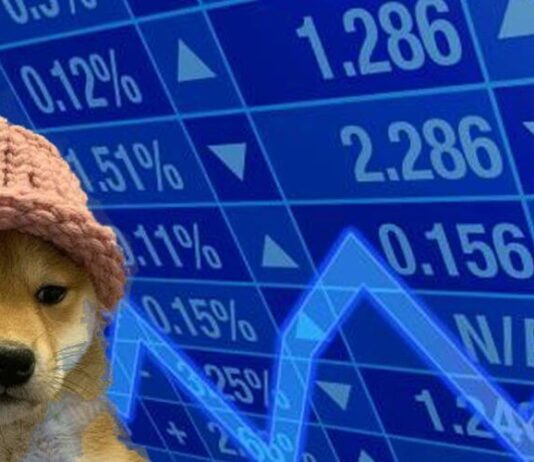 WIF, PEPE und SEI glänzen, während Kryptowährungen boomen