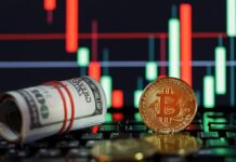 River führt Bitcoin-Zinsen auf Bareinlagen ein