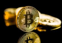 Genius Group sammelt 33 Millionen US-Dollar, um mehr BTC zu kaufen