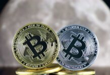 Brite will Mülldeponie kaufen, während er nach verlorenen Bitcoins im Wert von 784 Millionen Dollar sucht