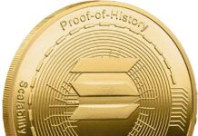 2 Stück SOL-Münze Kryptomünzen Kryptowährung Favorite Solana Münze Physische Gedenkmünze