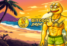 Vorverkauf von Bitcoin Pepe (BPEP) geht in die letzten 48 Stunden