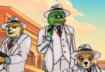 CartelFi-Vorverkauf sammelt 500.000 $ in 24 Stunden, bietet 1000% APY für das Staking von Meme-Coins