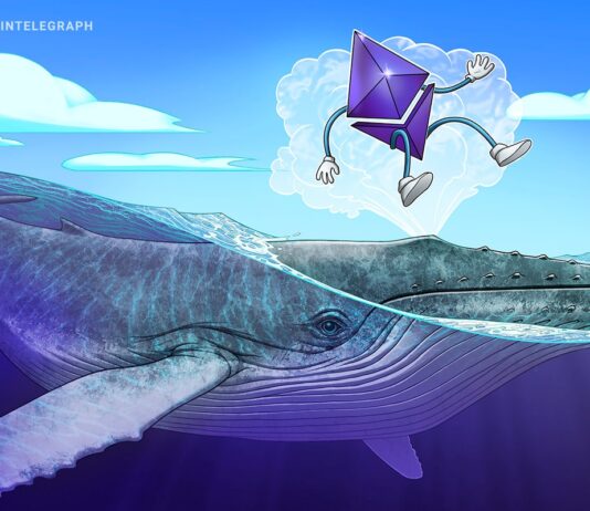 Sorgen Short-Liquidationen für 3.000 US-Dollar?