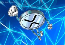 XRP bei 12.000 US-Dollar? Neue Studie sieht gigantisches Potenzial