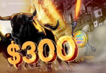 SOL-Kurs auf 300 US-Dollar? Hohe Wahrscheinlichkeit einer Solana ETF-Zulassung gibt Hoffnung