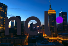 Nel Asa-Aktie: Nächste Wette!