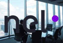 Nel Asa-Aktie: Die Fakten!