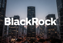 BlackRock Latin American Investment Trust: Großaktionär reduziert