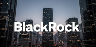 BlackRock Latin American Investment Trust: Großaktionär reduziert